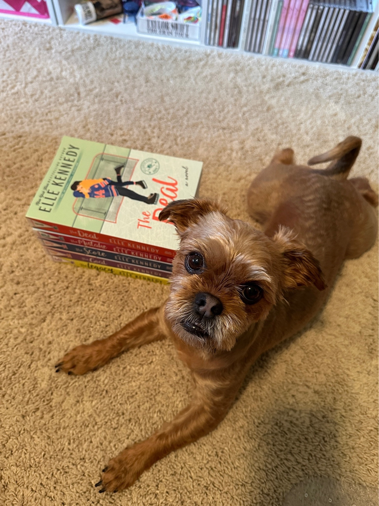 Mom got some new books 📚


#books #booktok #offcampus #doglife #shorkie

#LTKootd #LTKdayinmylife #LTKSaleAlert