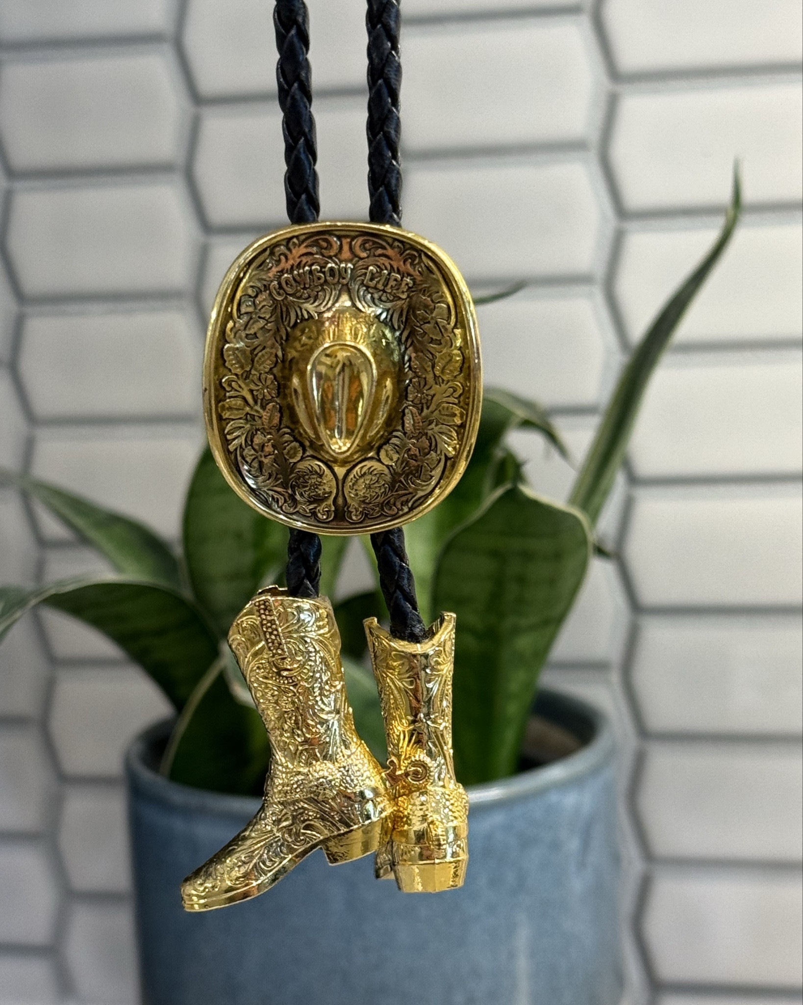 Country concert 🤝 bolo tie 

#LTKWedding #LTKStyleTip #LTKMens