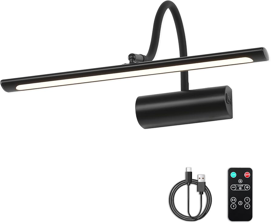 JOOSENLUX Battery Operated Picture Light Black Wall Lights Wireless Flexible Neck with Remote Rec... | Amazon (US)