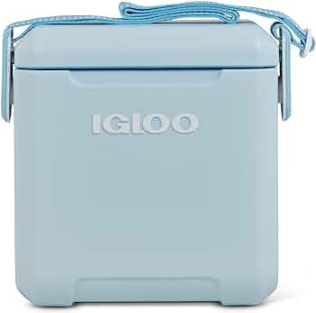 Igloo 11 Qt Tag Along Too Strapped Picnic Style Cooler | Amazon (US)