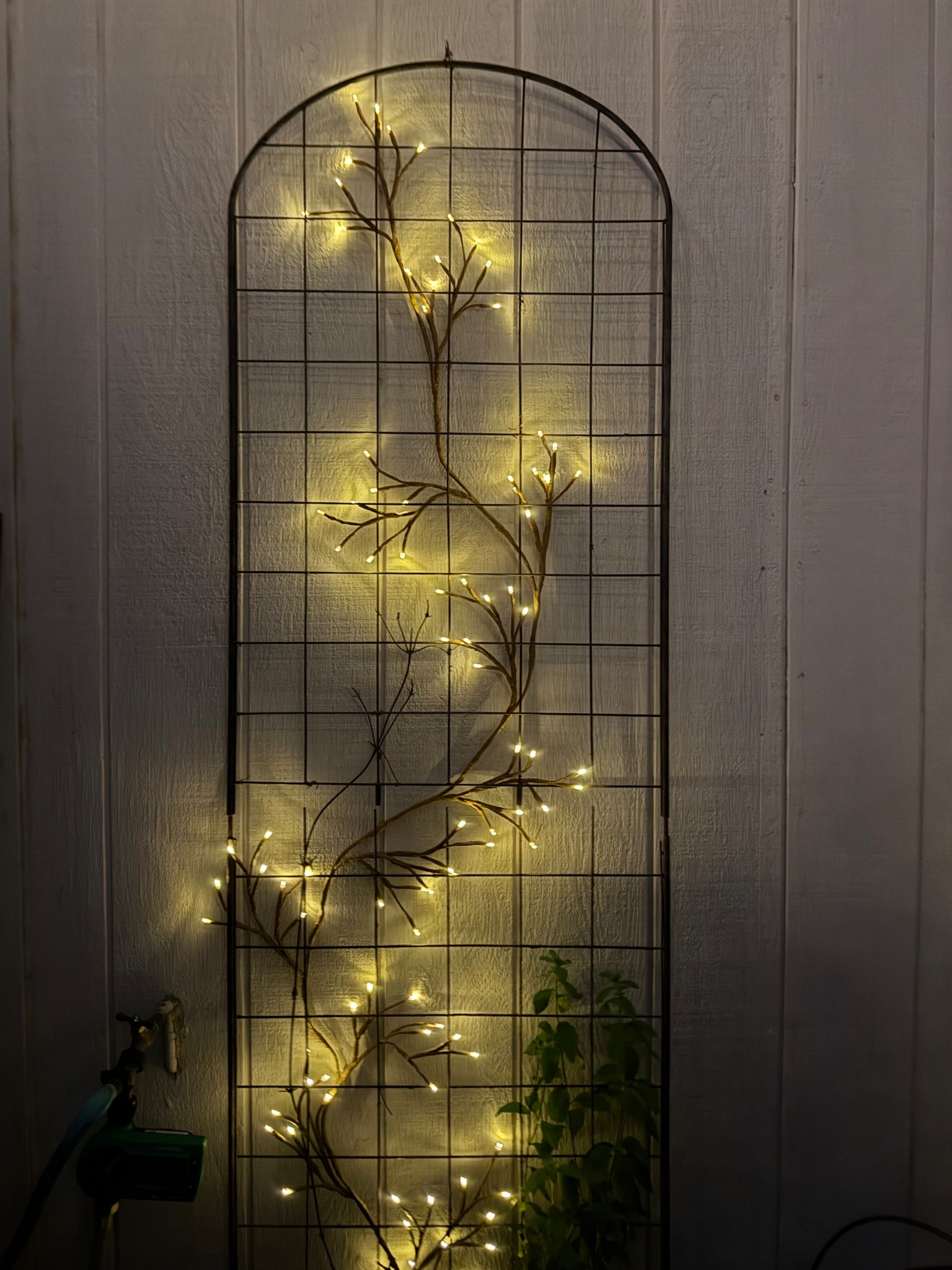 Solar Ivy lights in the garden 

#LTKSeasonal #LTKHome