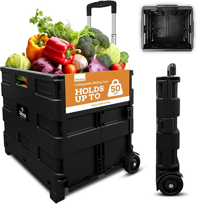 Inspired Living Ultra-Slim Rolling Collapsible Storage Pack-N-Roll Utility-carts, with Telescopic... | Amazon (US)