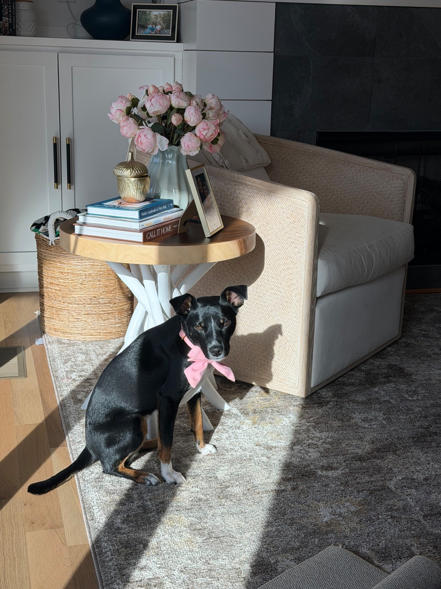 Just enjoying a moment in the sun ☀️ 

#LTKmomlife #LTKdayinmylife #LTKHome