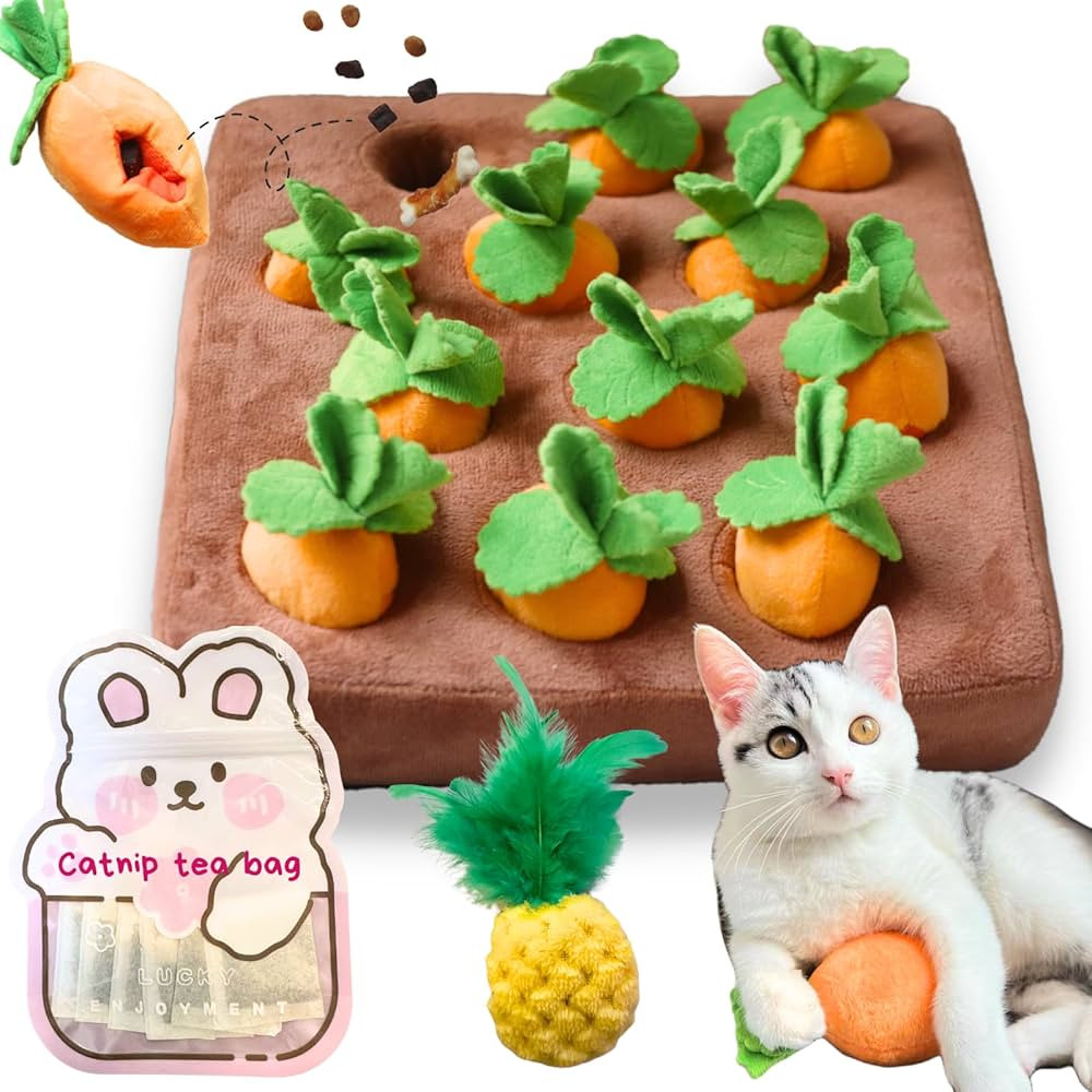 Carrot Catnip Toys, Interactive Feather Cat Toys for Indoor Cats, Cat Puzzle Toys for Boredom and... | Amazon (US)