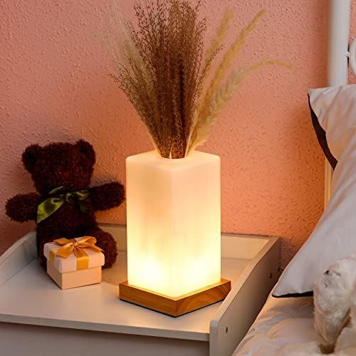 Flower Arrangement Bedside Boho Lamp USB Charge Vase Lamp Frosted Glass Shade Flower Lamp Dimmabl... | Amazon (US)