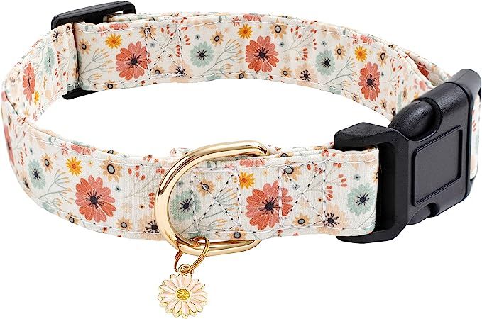 Faygarsle Cotton Designer Dogs Collar Cute Flower Dog Collars for Girl Female Small Medium Large ... | Amazon (US)