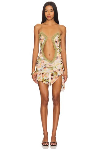 Jaded London Mini Fatale Dress in Blush Floral from Revolve.com | Revolve Clothing (Global)