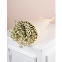 Dried Baby's Breath Flowers - White Flower Gypsophila Bulk Natural | Etsy (US)