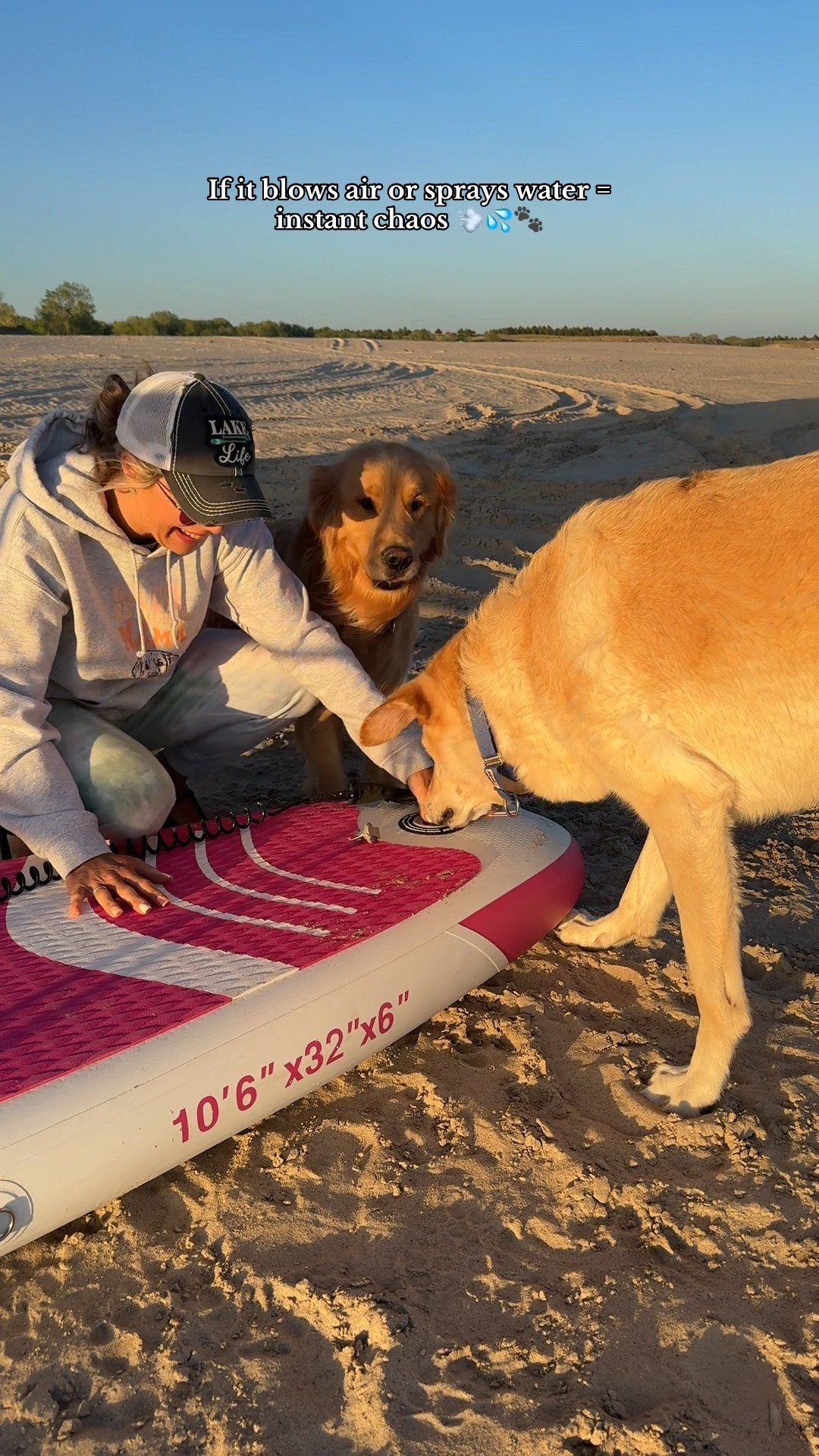 Fun with the dogs! 