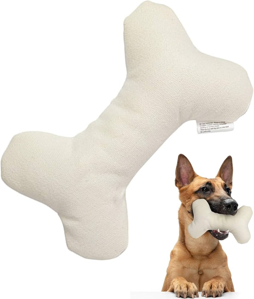 Durable Tough Cotton Canvas Squeaky Dog Toy, Eco-Friendly Interactive Chew Toy for Small, Medium ... | Amazon (US)