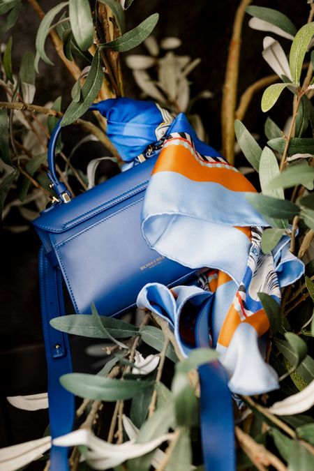Silver and Riley always have the most perfect bags! This shade of blue and size is the perfect addition to collection!

#LTKItBag #LTKSeasonal