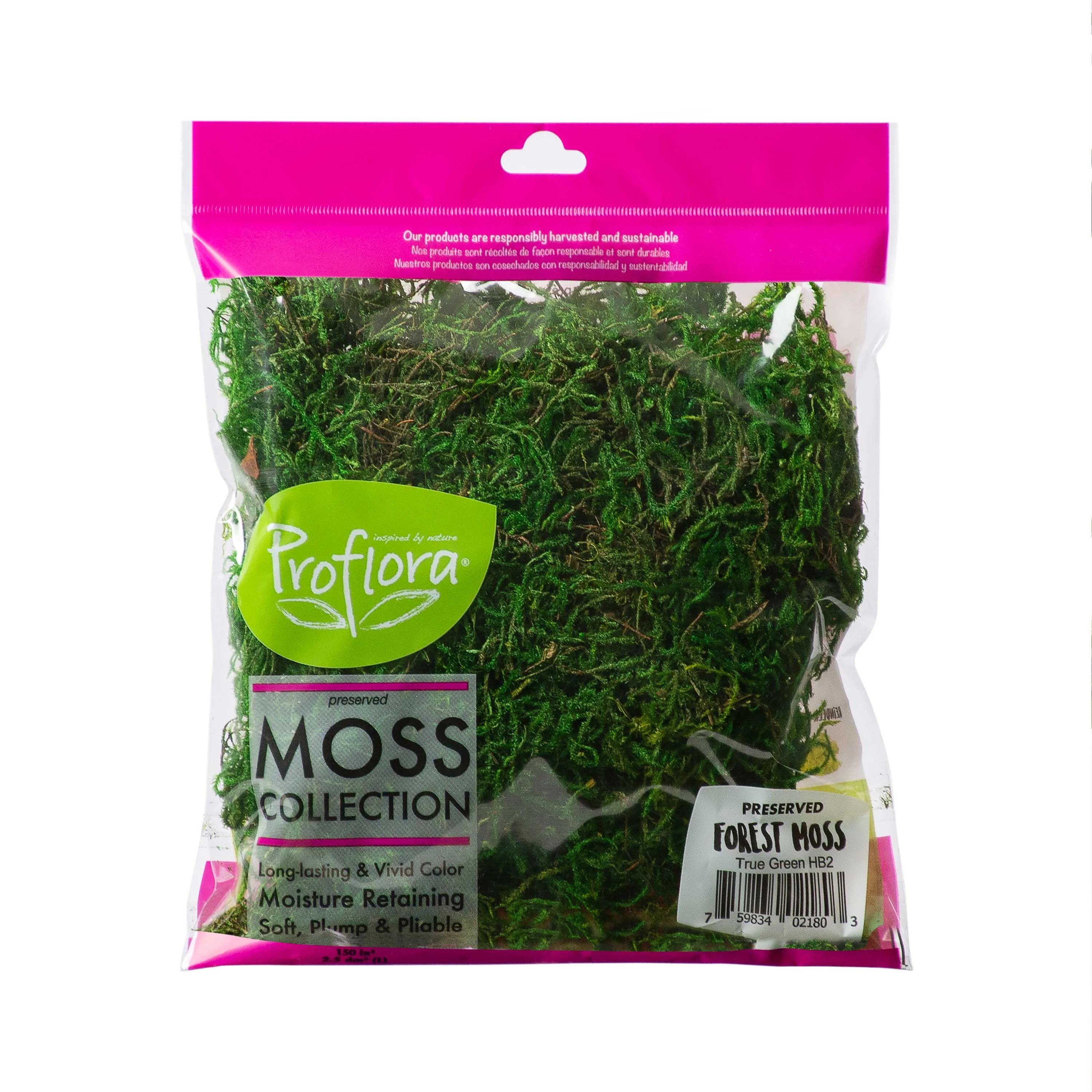 ProFlora Green Forest Moss 2oz - Floral Arranging Supplies 0.15lb | Walmart (US)