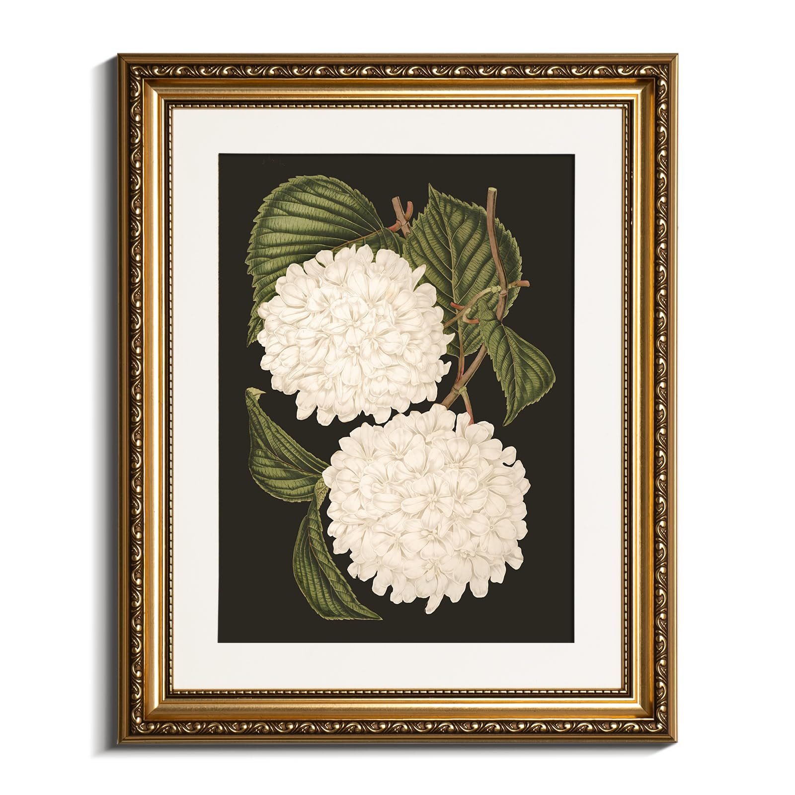 VIYYIEA Gold Framed Wall Art Canvas Print Home Decor White Hydrangea Oil Painting Canvas Prints R... | Amazon (US)