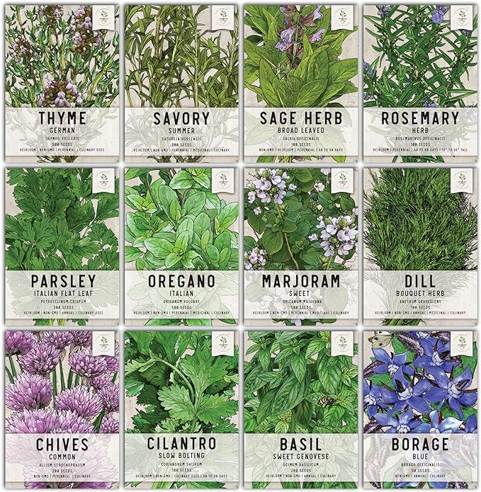Seed Needs, Culinary Herb Collection (12 Individual Herb Seeds for Planting Indoors or Outdoors) ... | Amazon (US)