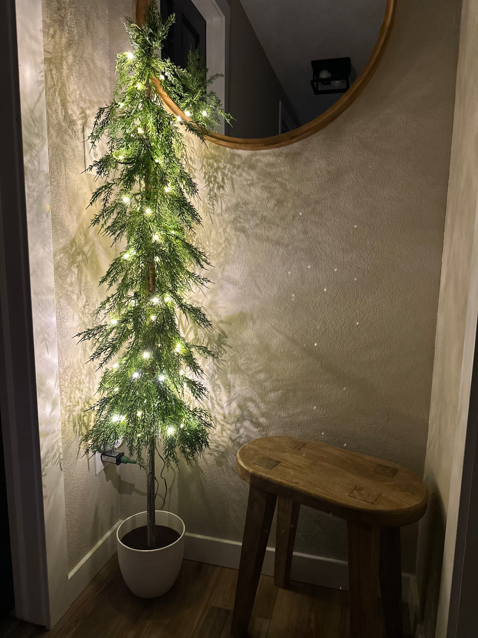 some people collect snowmen or Santa’s - I collect trees 🎄

#LTKSeasonal #LTKFindsUnder100 #LTKHome