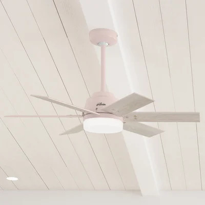 44" Pacer 6 - Blade Ceiling Fan with Lights and Remote | Wayfair North America