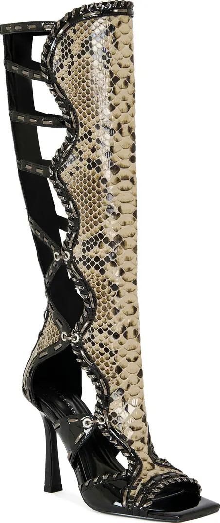 AZALEA WANG Indrani Snake Gladiator Boot (Women) | Nordstrom | Nordstrom
