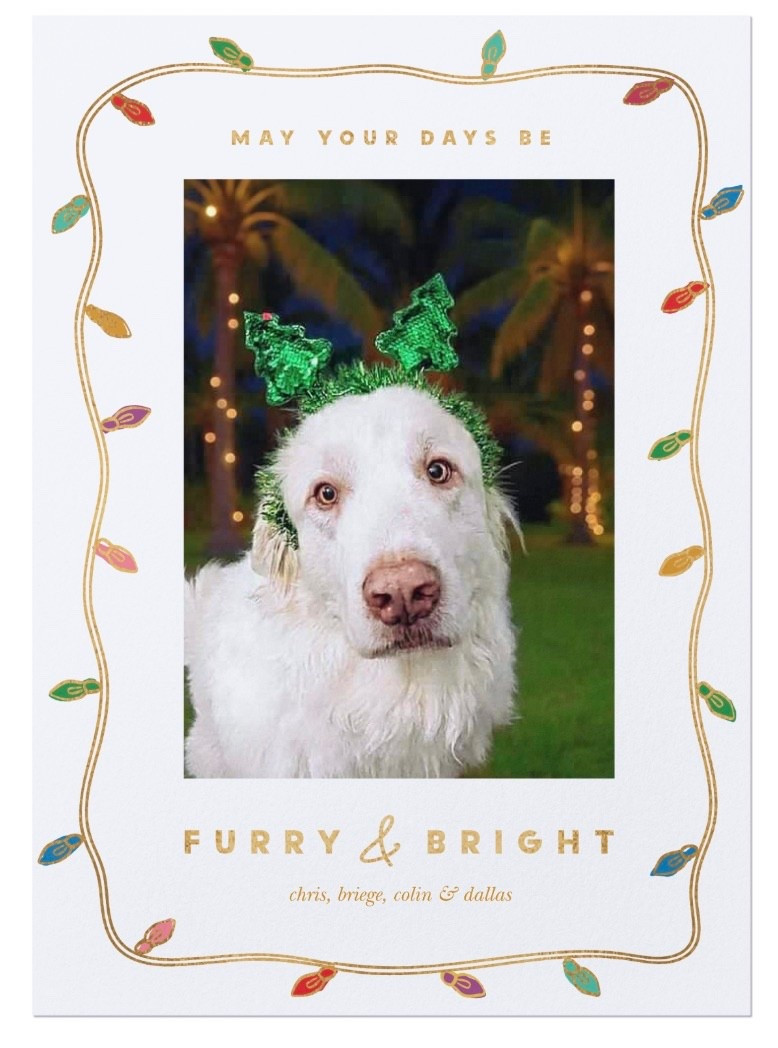 It’s not too late to order your Christmas cards! Shutterfly has 50% off plus free shipping with code COUNTDOWN! 

#LTKSeasonal #LTKHoliday #LTKSaleAlert