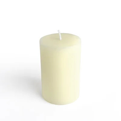 Unscented Pillar Candle | Wayfair North America