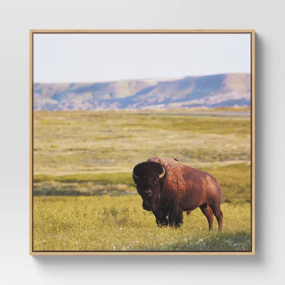 24" x 24" Buffalo Roam Framed Wall Canvas - Threshold™ | Target