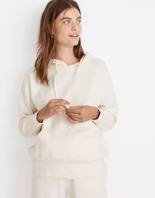 Ellington Hoodie Sweater | Madewell