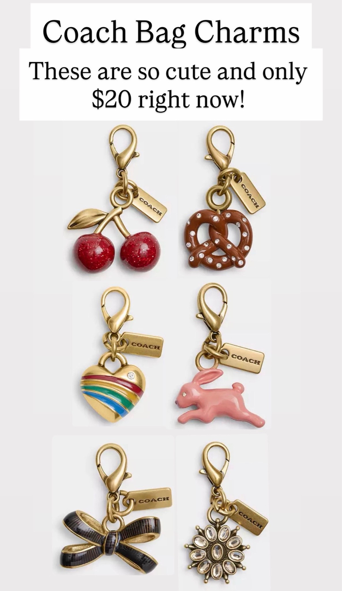 Coach bag charms are so cute for back to school! Or for adults!

#LTKKids
