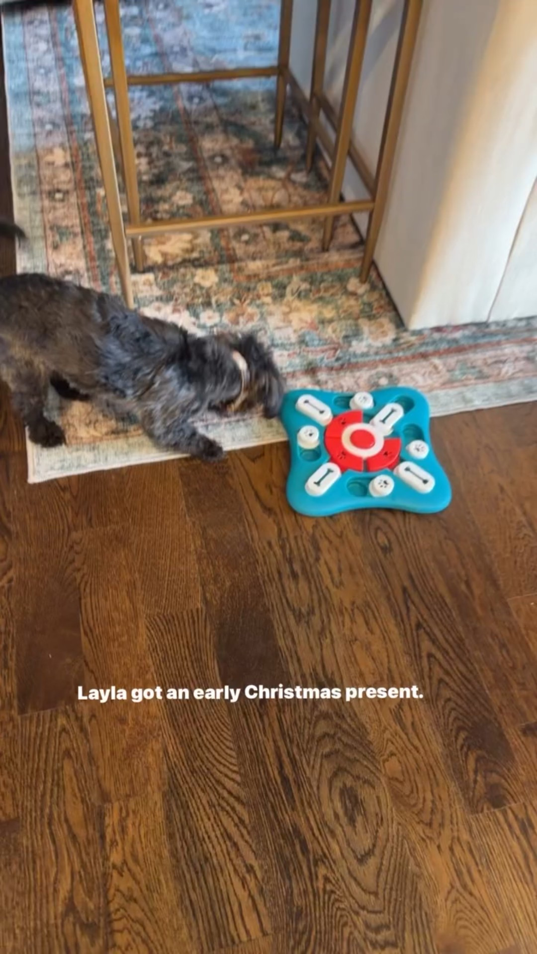Our pup loved this puzzle! It’s only $10 and helps get her energy out! 
Amazon finds 

#LTKFindsUnder50 #LTKmomlife #LTKSaleAlert