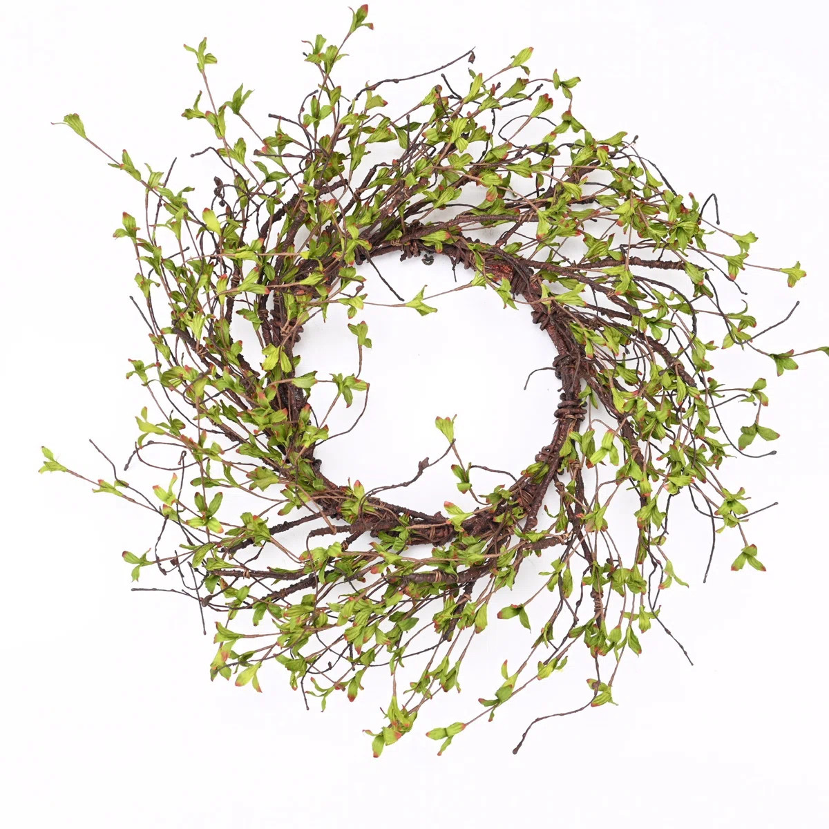22" Handmade Spring Branch Wreath | Wayfair North America