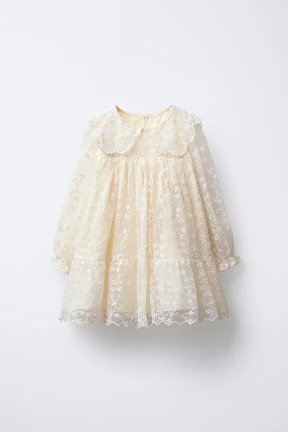 EMBROIDERED TULLE DRESS | Zara US