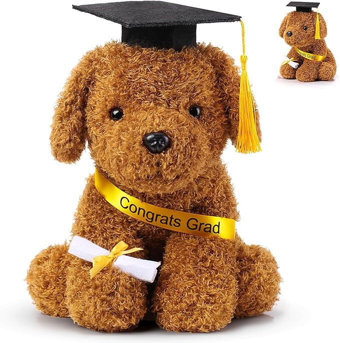 Chalyna 10 Inch Graduation Season Dog Preschool Plush Stuffed Animal Kindergarten Puppy with Grad... | Amazon (US)