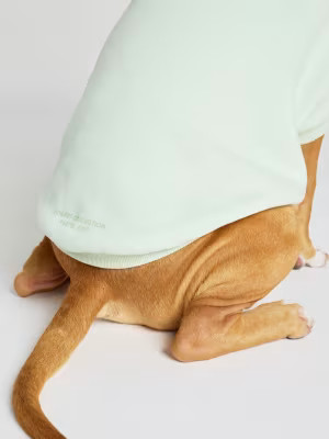 Pastel Paw Hoodie — Comfrt | Comfrt