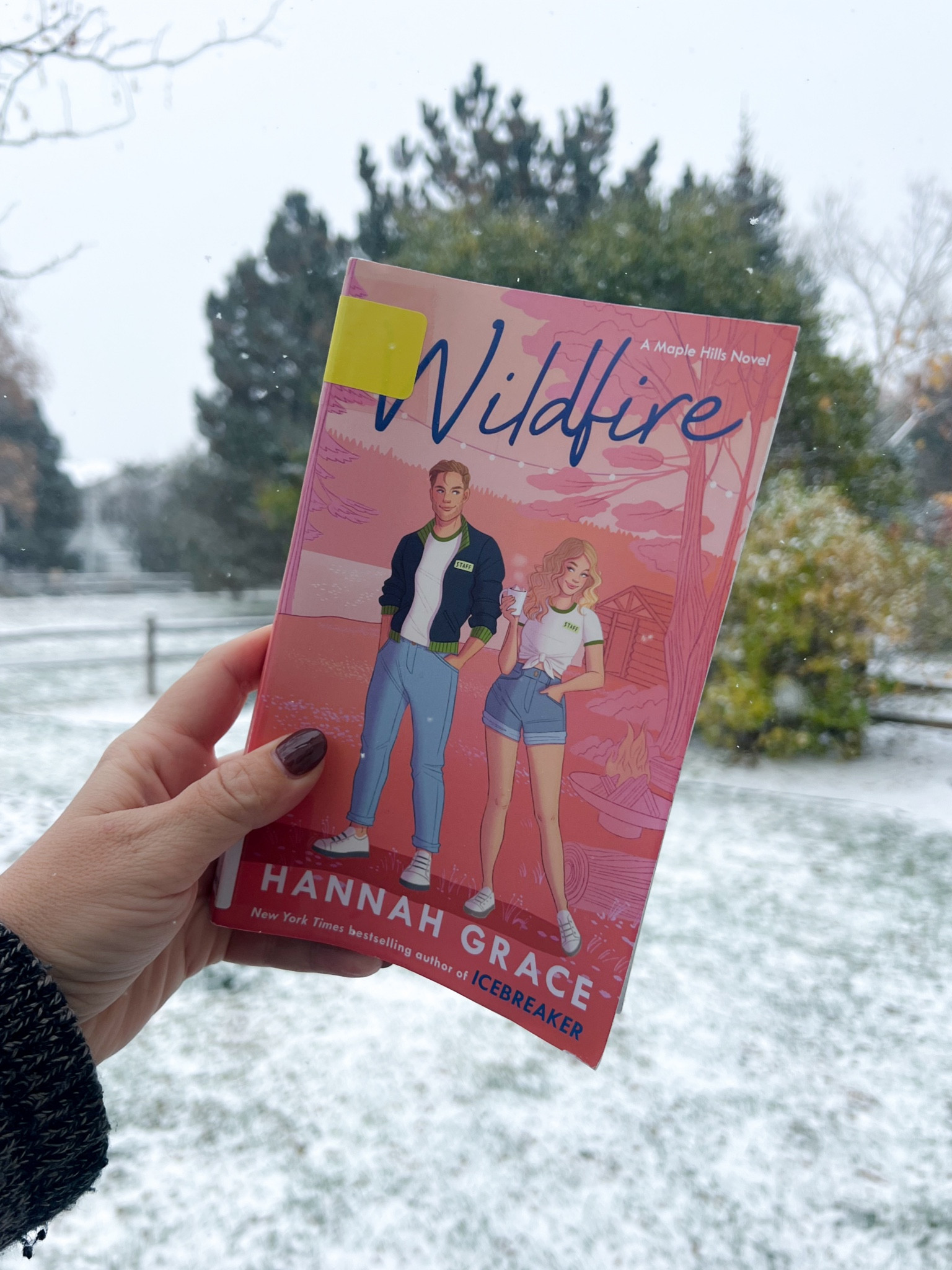 A sweet little romance that reads fast and leaves you loving the characters 🤍