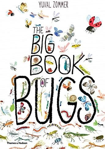 The Big Book of Bugs (The Big Book Series) | Amazon (US)