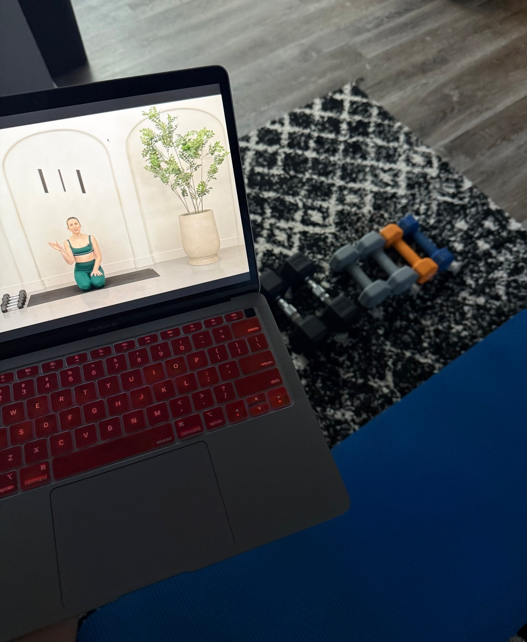 Absolutely loving Evlo Fitness!! It’s so nice to be able to strength train at home 💪🏼


#LTKActive