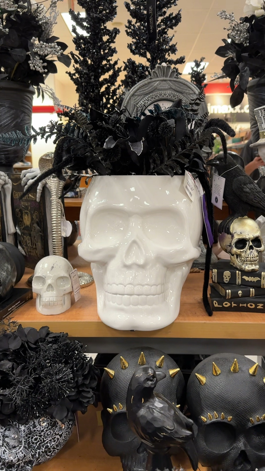 Spooky Halloween decor at TJ Maxx for affordable prices.

Skulls. Pumpkins. Bats. Spiders.

#LTKHalloween #LTKHome #LTKSaleAlert