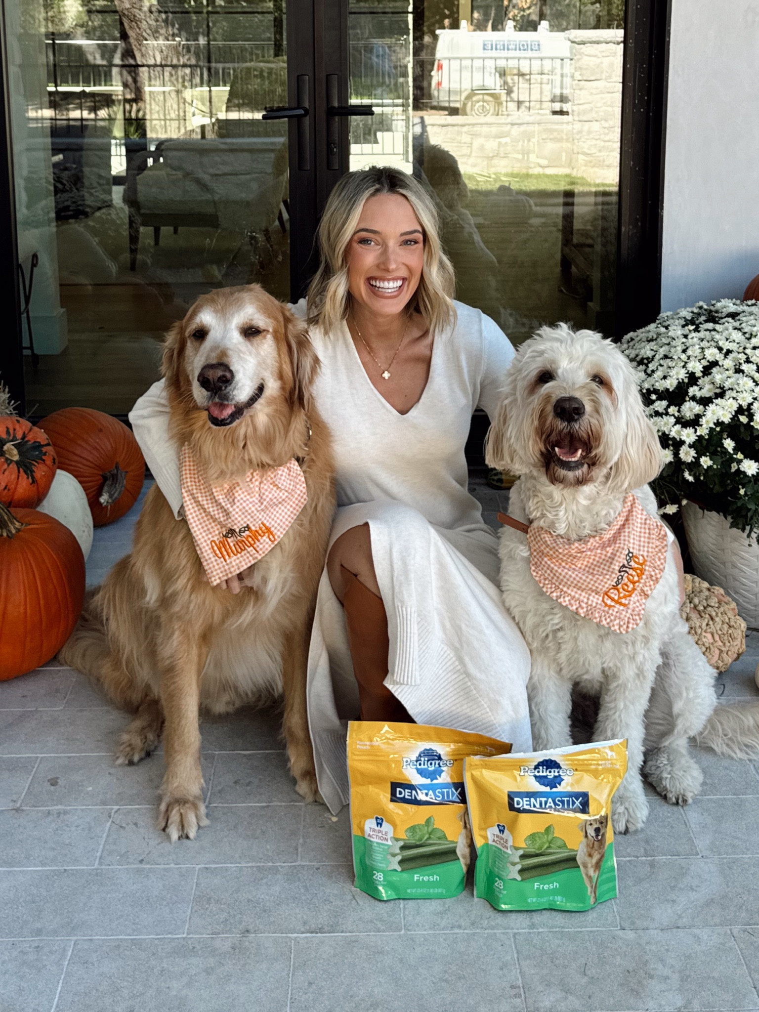 @chewy #chewypartner