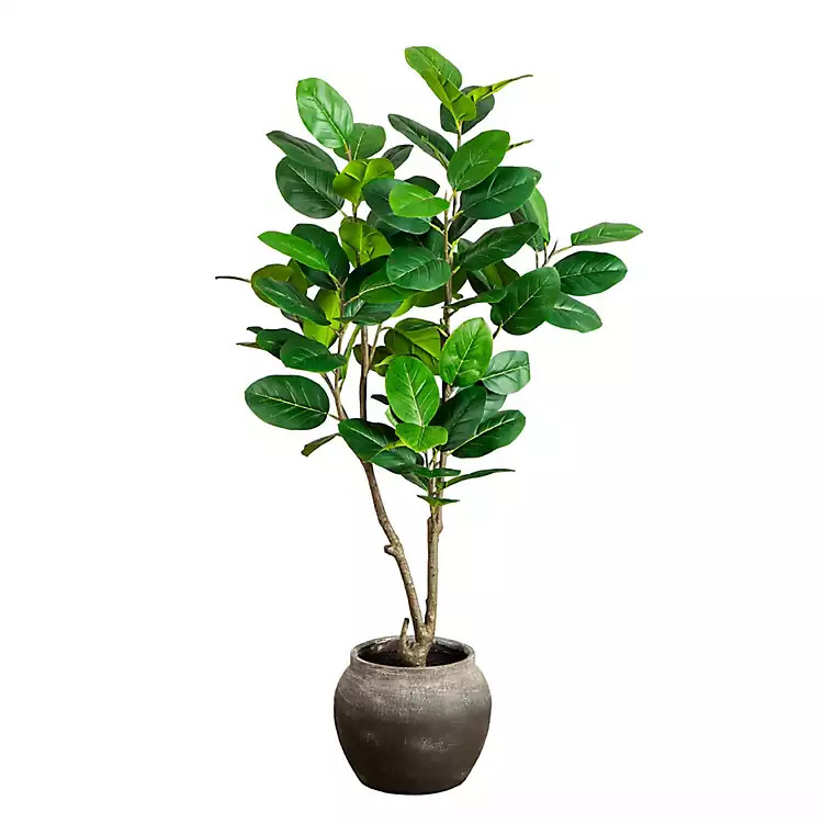 4 ft. Audrey Ficus Tree in Rustic Planter | Kirklands
