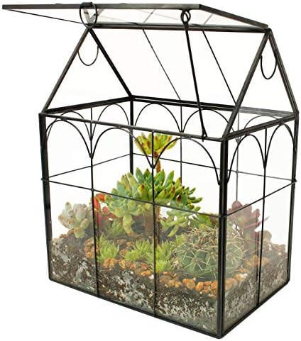 ELEGANTLIFE Glass Geometric Plant Terrarium,Succulent & Air Planter for Home Garden Office Decora... | Amazon (US)