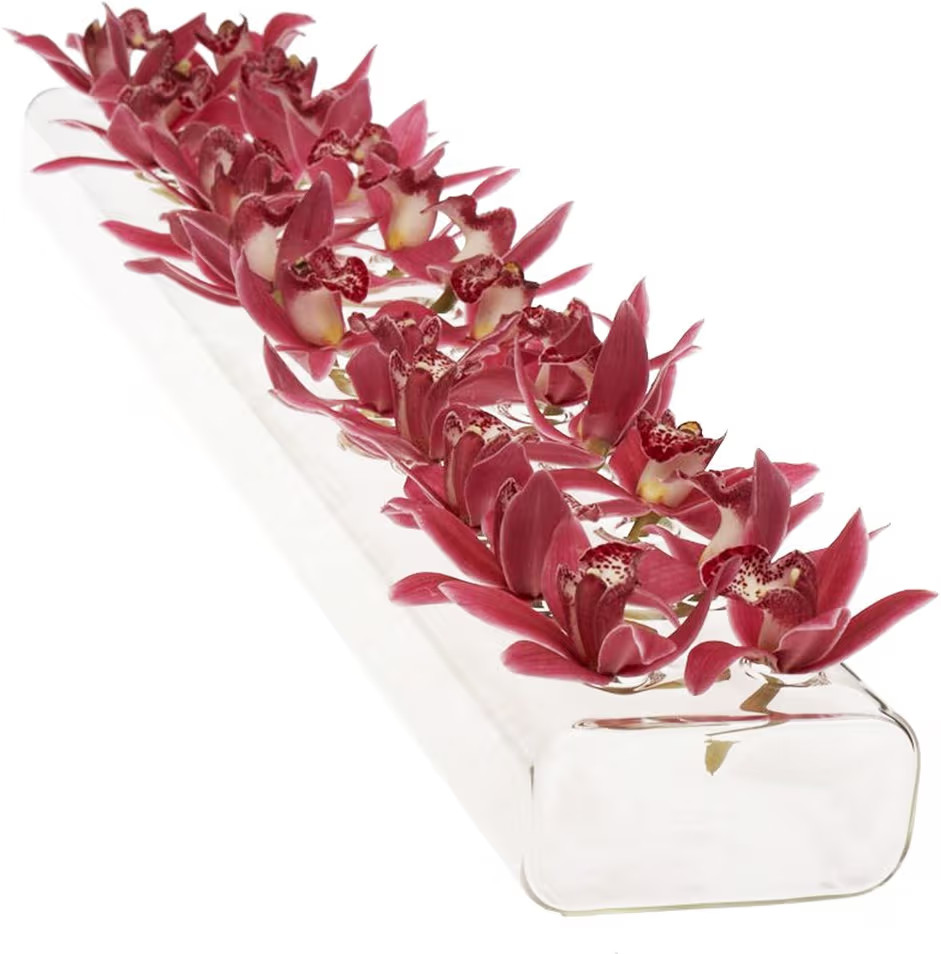 CHIVE ‘Hudson 2 Flute’ Flower Vase — Beautiful Large 24-Hole Multi-Chambered Clear Glass Bu... | Amazon (US)