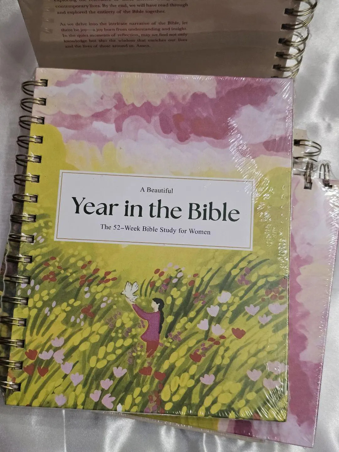 A Year in the Bible: 52-Week Bible Study Journal | Christian Devotional Workbook | Faith Gift for... | Etsy (US)