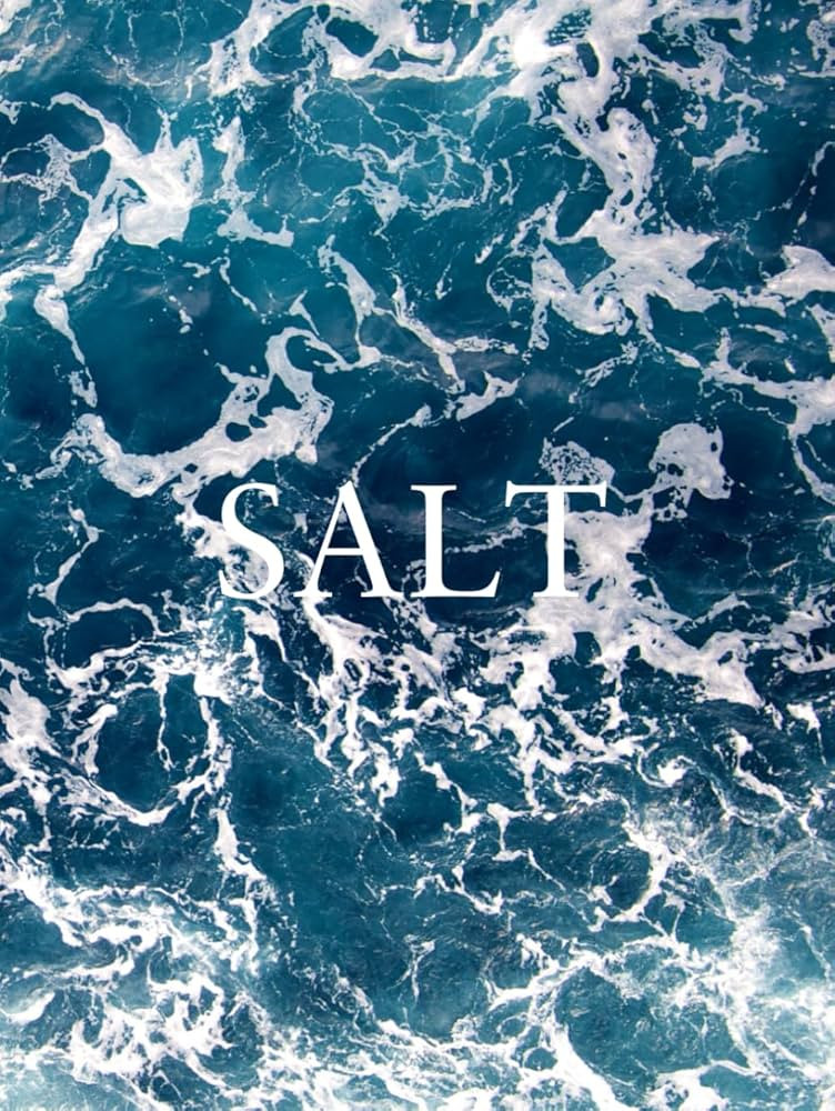 Salt: Coastal Decorative Book | Modern Beach House Accent for Coffee Tables and Shelves | Amazon (US)