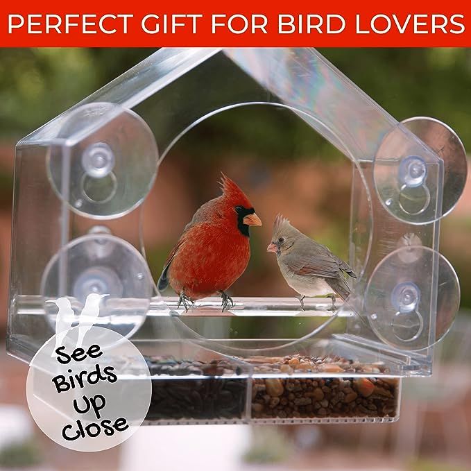 Window Bird House Feeder by Nature Anywhere for Wild Birds with Sliding Seed Holder and 4 Extra Stro | Amazon (US)