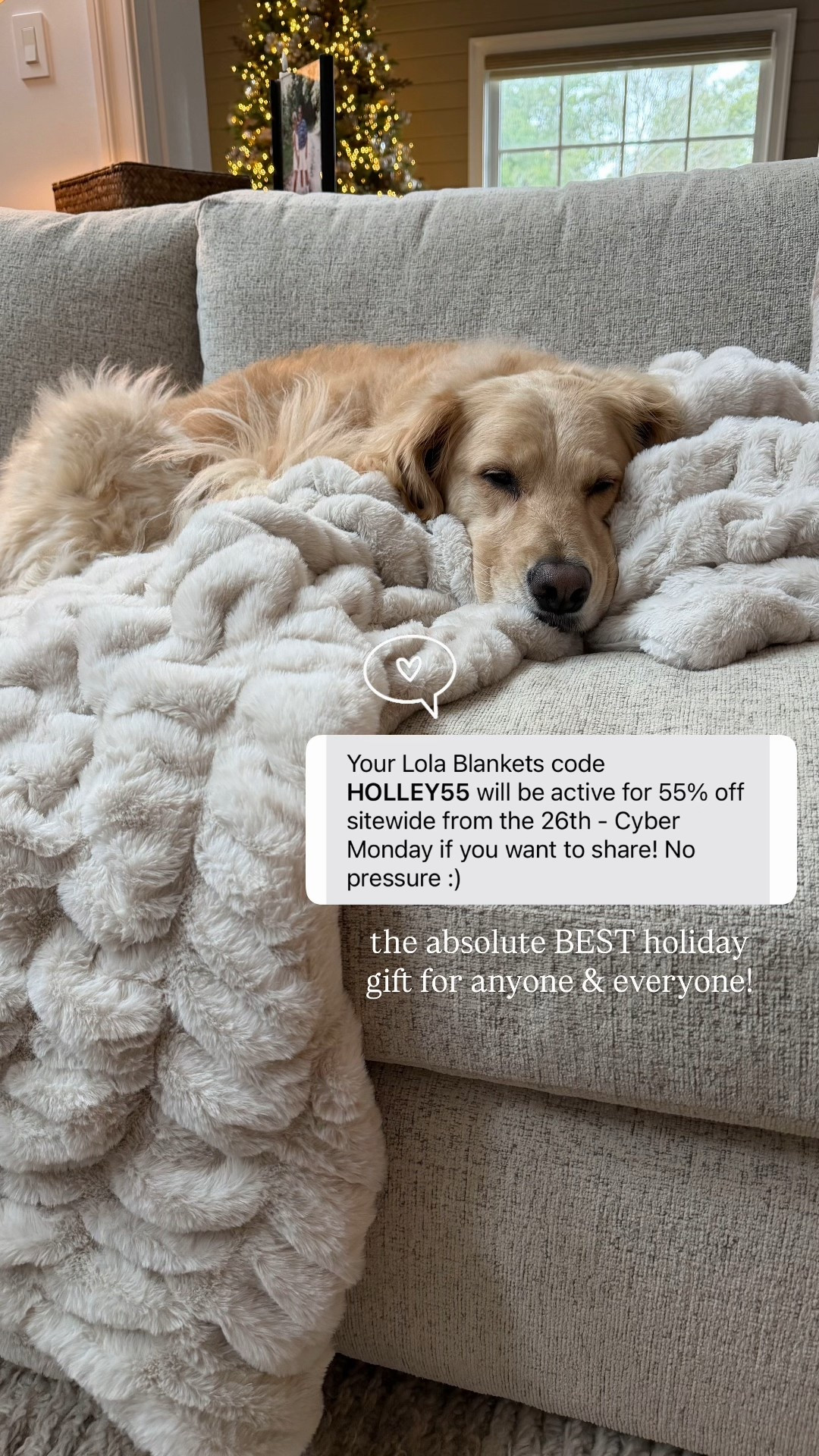 The best blanket of all time 🧸 yes, it’s worth it! We do the Large size! So many patterns, colors & prints! 🤎 code HOLLEY55 to save 55% off! 

Lola blankets / sale / Black Friday / cyber week / gift ideas for her / Holley Gabrielle 

#LTKHoliday #LTKCyberWeek #LTKGiftGuide