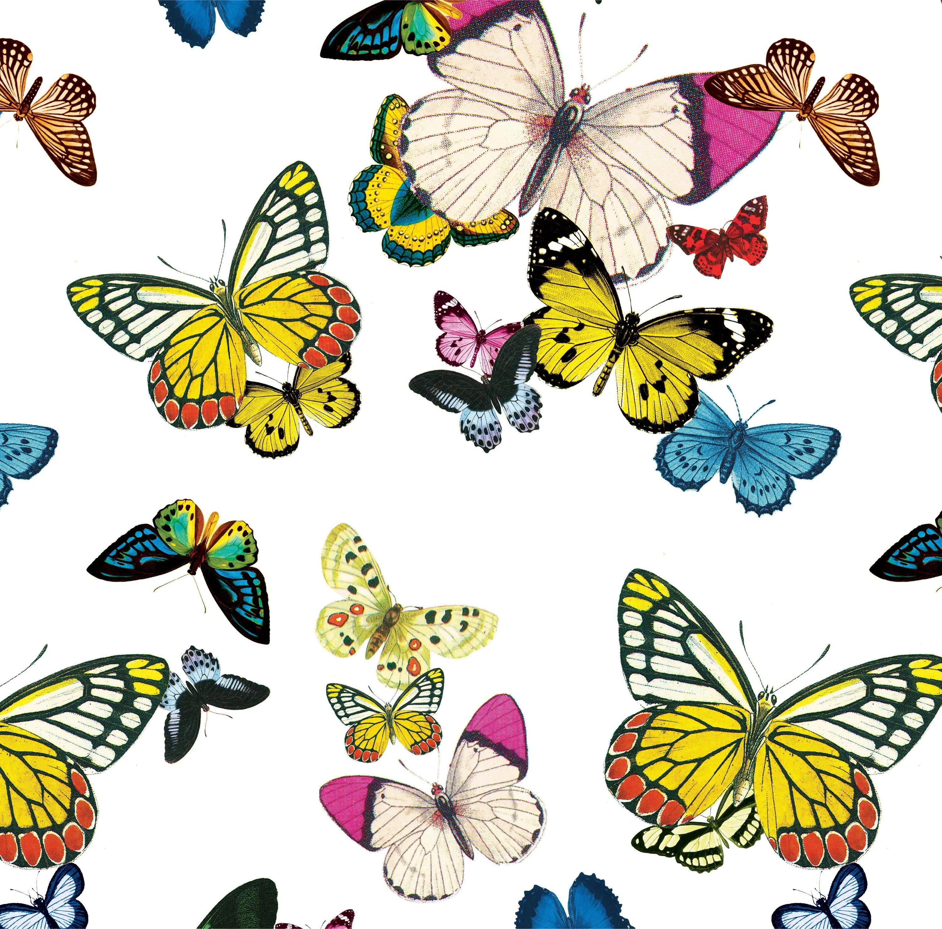 Metamorphosis Peel & Stick Wallpaper | Katie Kime Inc