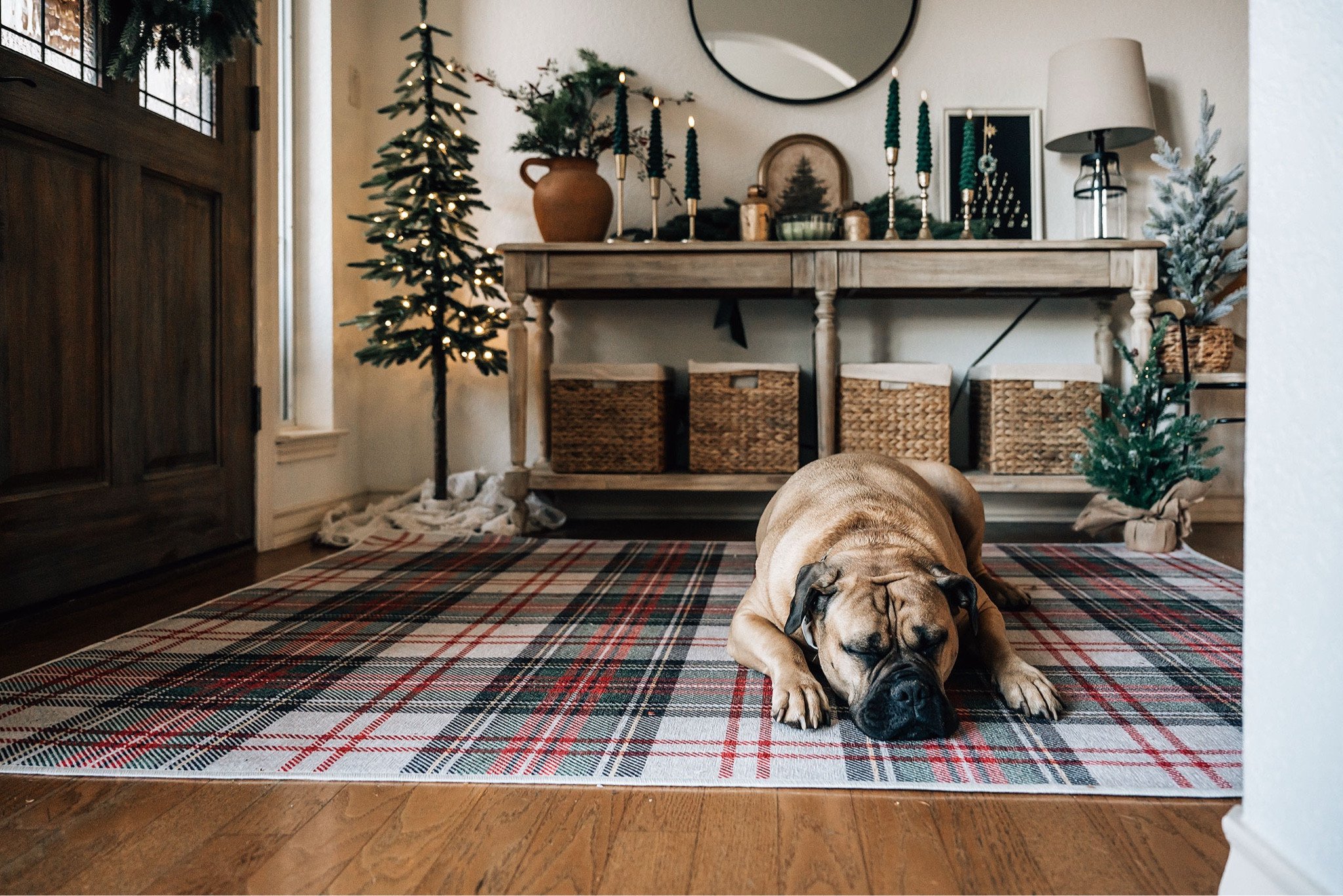 Cozy holiday vibes, a plaid rug, festive greenery, and our sweet pup stealing the show! 🐾✨ Shop the look for your entryway and bring warmth to your space this season.  #holidaydecor #cozyhome #LTKhome #entryway #christmasentryway 
Holiday rug
Christmas rug
Christmas entryway 
Christmas decor 

#LTKHome #LTKHoliday #LTKSeasonal