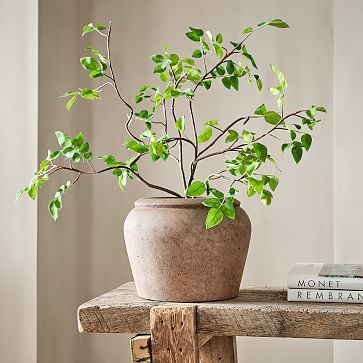 Faux Potted Bursera Plant | West Elm (US)