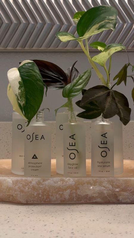 Propagate with me & @oseamalibu 🌱💙 I’m reusing my empty skincare bottles from OSEA as propagation vessels 🥰 Don’t they look absolutely adorable?  I partnered with OSEA to offer you 10% off your order with code: BRANDONFRIAS 🥰 Your skin and our planet will thank you!

#LTKbeauty #LTKhome