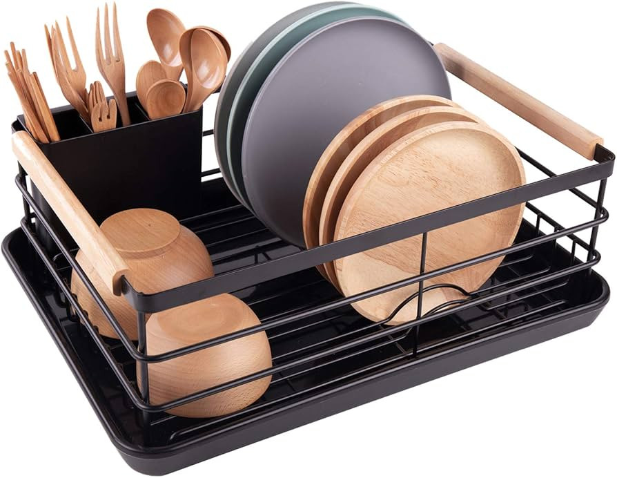 BRIAN & DANY Dish Drying Rack, Dish Racks for Kitchen Counter, Stainless Steel Dish Drainer with ... | Amazon (US)