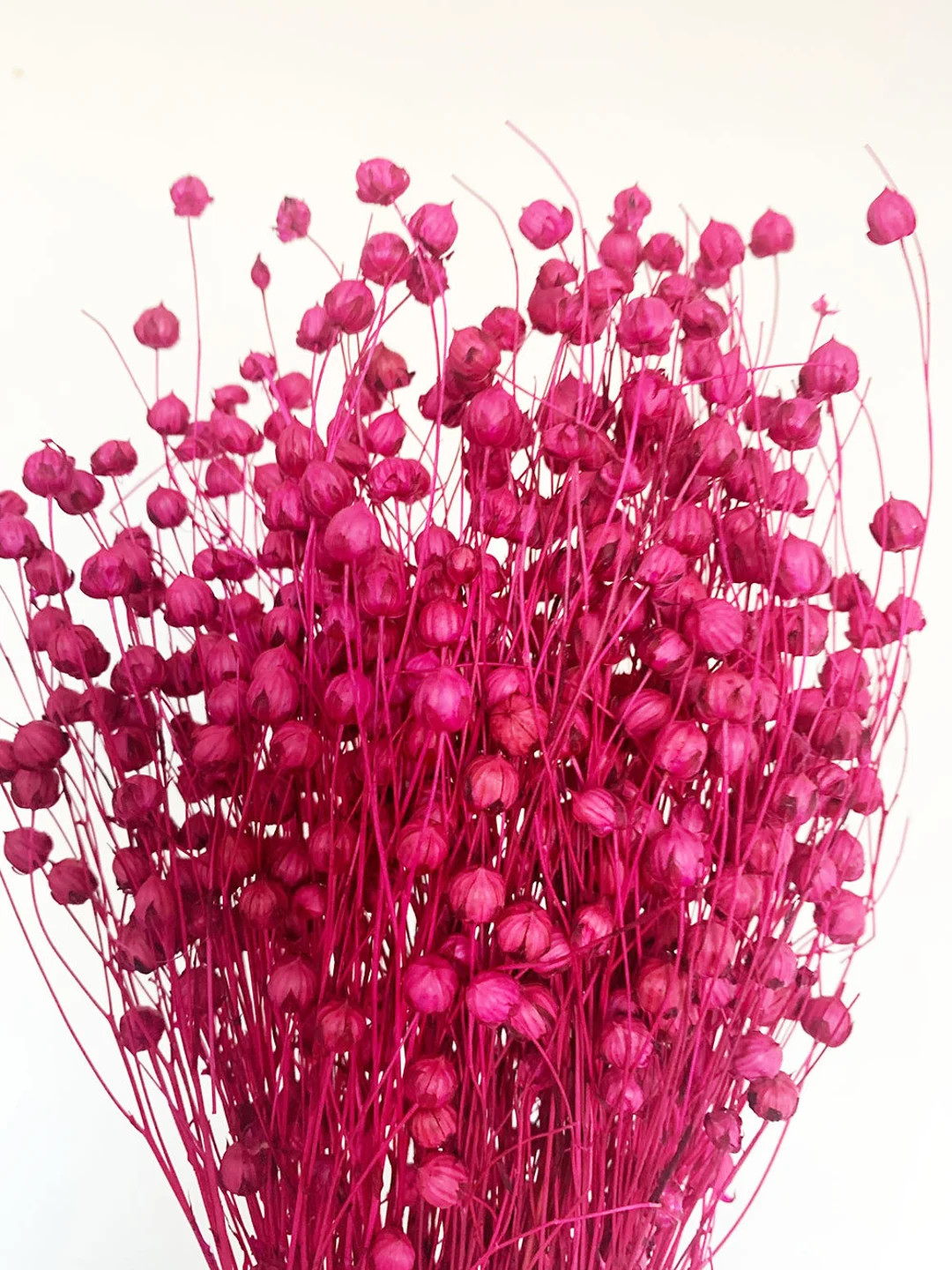 Dried Linum, dark pink flax bunch, Dried linum grass, Dried flowers bouquet, Dried Grass, Linum b... | Etsy (US)