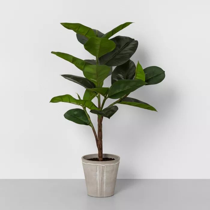 26" Faux Rubber Tree Potted Plant - Hearth & Hand™ with Magnolia | Target